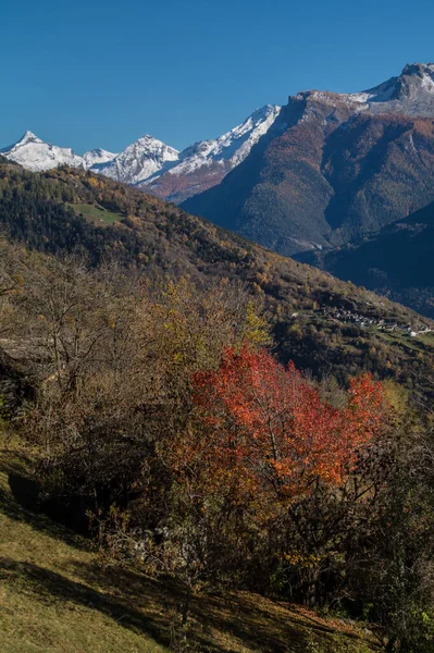 Krásná Podzimní Krajina Stromy Horami — Stock fotografie