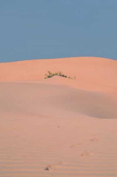 沙丘的美丽景色 自然背景 — 图库照片