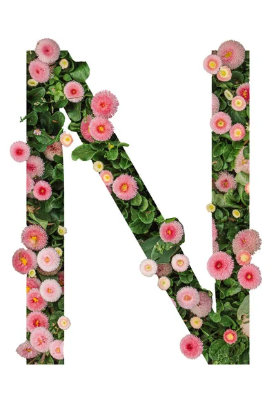 字母F 字母和花卉制 — 图库照片