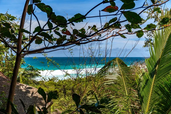 Hermosa Playa Tropical Con Palmeras Cielo Azul — Foto de Stock