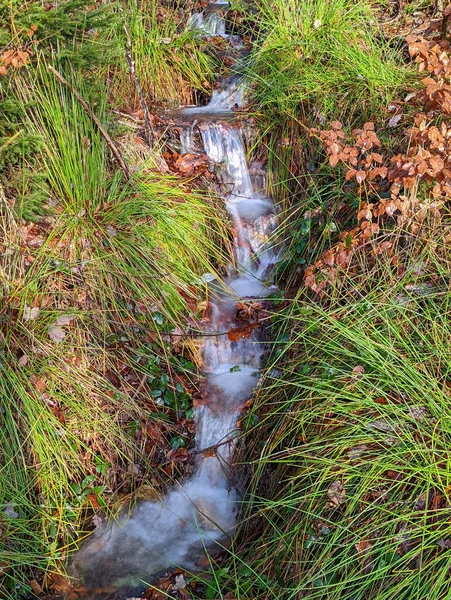 Bela Cachoeira Floresta — Fotografia de Stock