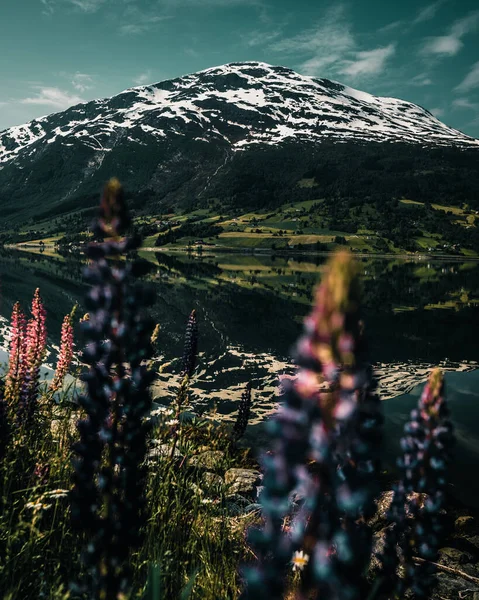 Prachtig Natuurlandschap Natuurlijke Achtergrond — Stockfoto