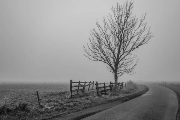 Schöne Aussicht Auf Die Landschaft — Stockfoto