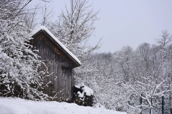 Vinterlandskap Med Snötäckta Träd — Stockfoto