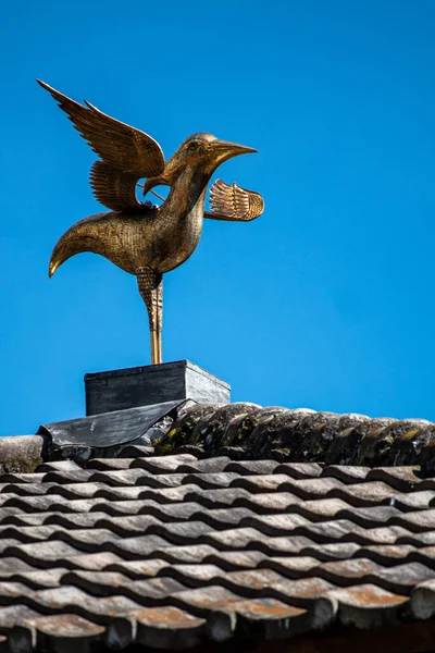 Ptak Dachu Domu — Zdjęcie stockowe