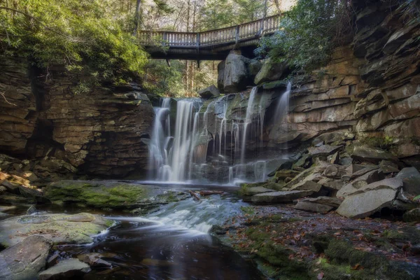 Wasserfall Wald — Stockfoto