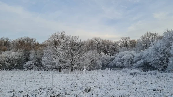 雪と白い霜の冬の風景 — ストック写真