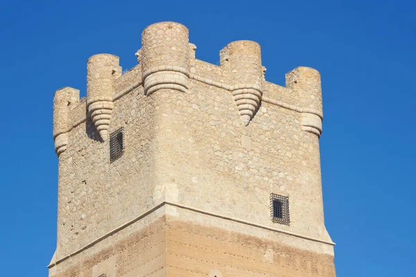 Старовинна Вежа Середньовічного Замку Півночі Ісраеля — стокове фото