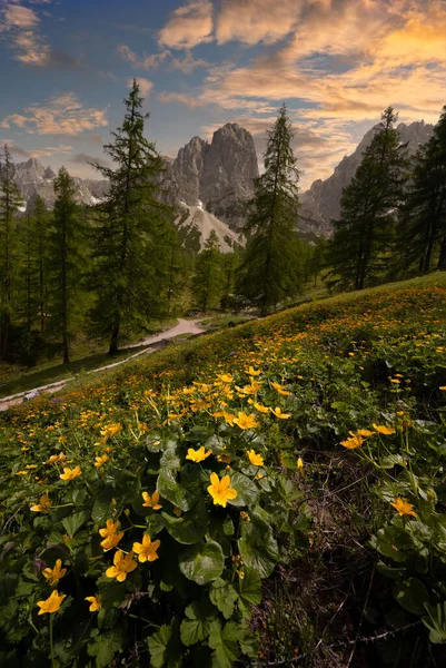Piękny Krajobraz Pasmem Górskim Górach — Zdjęcie stockowe
