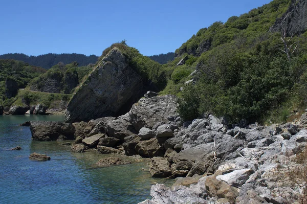 Güzel Deniz Kıyısı Doğa Arkaplanı — Stok fotoğraf