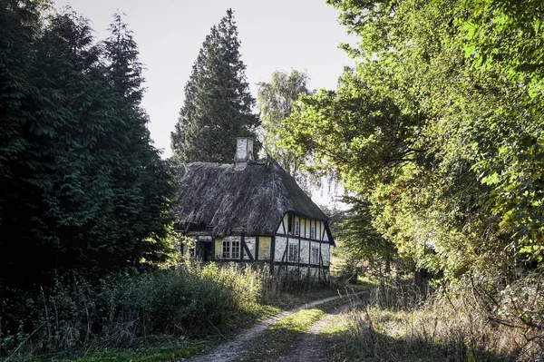 Starý Dřevěný Dům Lese — Stock fotografie
