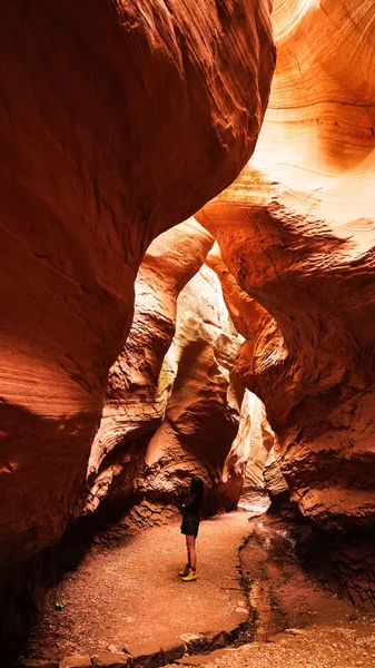 Beautiful View Grand Canyon Navajo Reservation — Stock Photo, Image