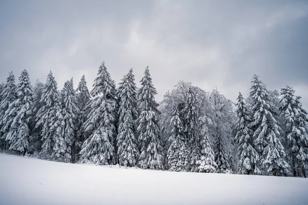 Beautiful Winter Landscape Snow Covered Trees — Stock Photo, Image