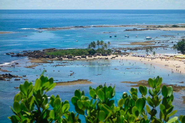 Bela Praia Com Palmeiras Céu Azul — Fotografia de Stock