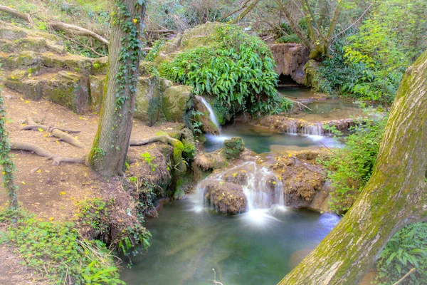 Fantastisk Fjällbäck Skogen — Stockfoto