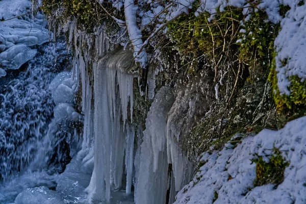 Belle Cascade Dans Forêt — Photo