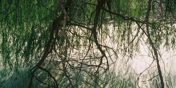 Schöne Aussicht Auf Die Natur — Stockfoto