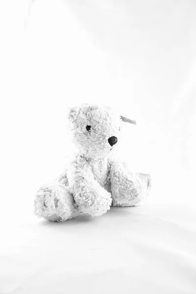 Αρκουδάκι Παιχνίδι Λευκό Φόντο — Φωτογραφία Αρχείου