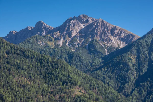 Úžasná Horská Krajina Zelenými Stromy — Stock fotografie