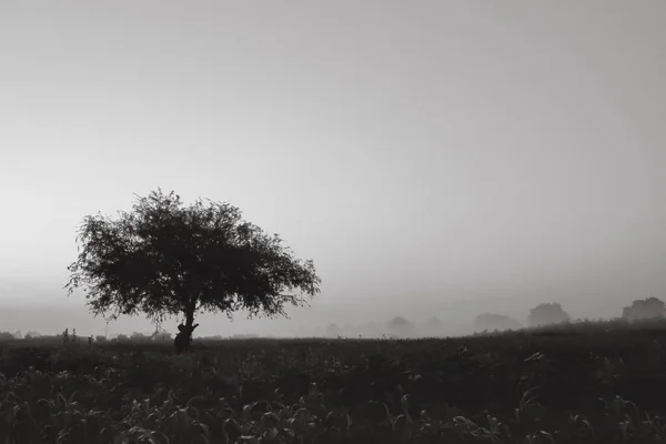 Schöne Aussicht Auf Die Natur — Stockfoto