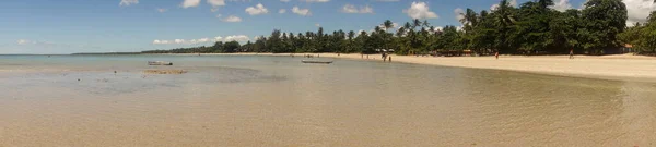 Bela Praia Com Palmeiras Céu Azul — Fotografia de Stock