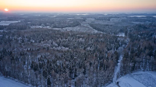 冬季风景 美丽的雪覆盖着树木 多雪的森林 — 图库照片
