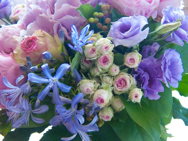 Botanical Shot Flowers Closeup — Stock Photo, Image