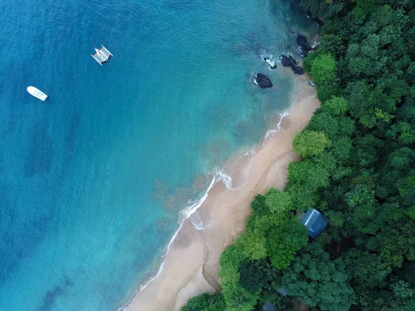 Vanuit Lucht Uitzicht Prachtig Tropisch Strand Met Palmbomen Blauwe Lucht — Stockfoto