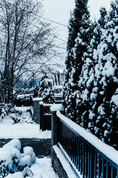 Winterpark Der Stadt — Stockfoto