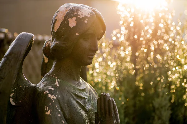 Statua Uomo Nel Parco — Foto Stock