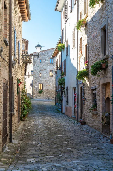 意大利皮萨里老城区狭窄的街道 — 图库照片