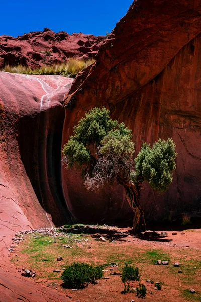 Formaciones Rocosas Rojas Parque Nacional Arcos Utah Usa —  Fotos de Stock