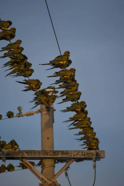 青い空の高電圧タワー — ストック写真