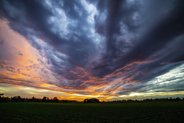 Schöner Sonnenuntergang Über Dem Feld — Stockfoto