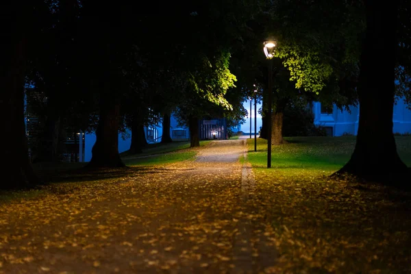 Akşamları Parkın Gece Manzarası — Stok fotoğraf
