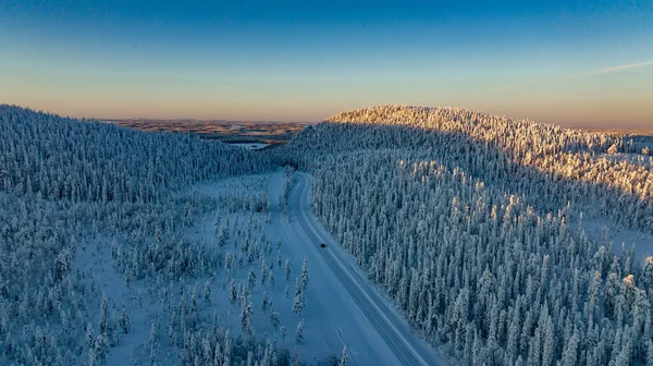 Çam Ağaçları Karla Kaplı Kış Manzarası Hava Görünümü — Stok fotoğraf