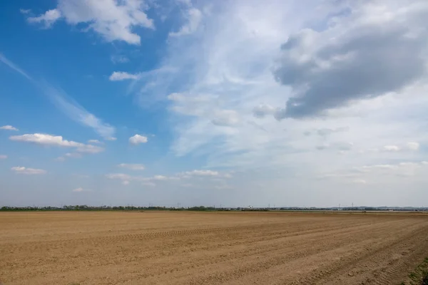 Kırsalda Bir Buğday Tarlası — Stok fotoğraf