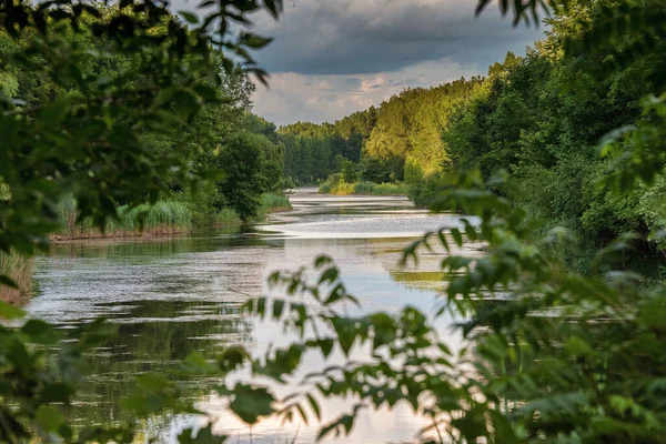 Schöne Sommerlandschaft Mit Fluss Und Bäumen — Stockfoto