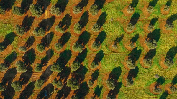 Flygfoto Över Staden Huvudstaden Staten Israel — Stockfoto