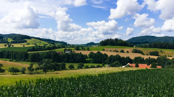 Hermoso Paisaje Con Campo Verde — Foto de Stock