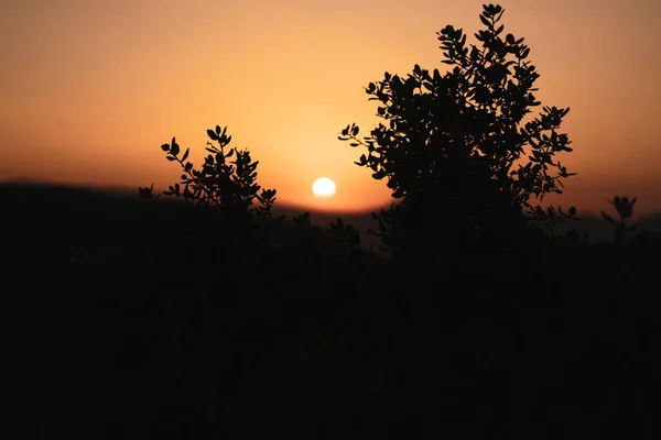 Zachód Słońca Górach — Zdjęcie stockowe