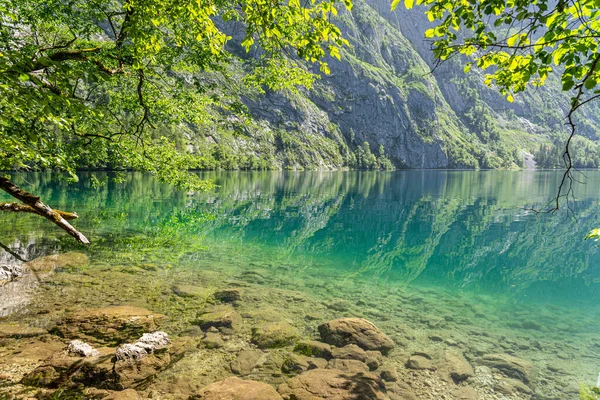 Jezioro Lesie Malowniczy Widok — Zdjęcie stockowe