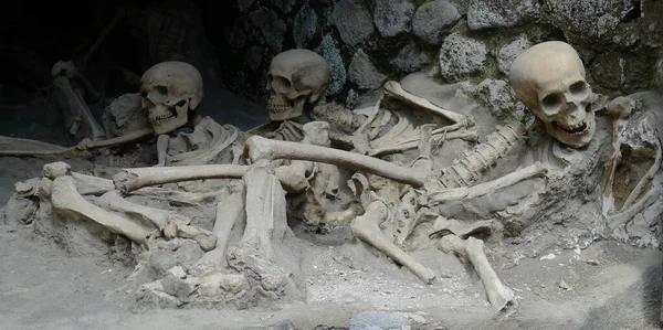 Halott Tenger Koponyája Csontjai — Stock Fotó