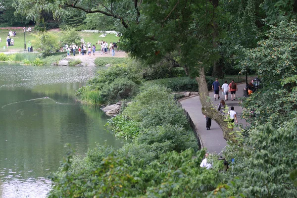 Vue Haut Rivière Dans Village — Photo