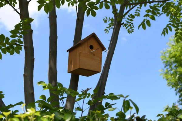Wooden Birdhouse Tree Garden Stock Image