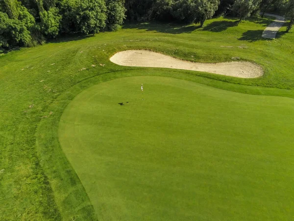 緑の芝生と木のあるゴルフコース — ストック写真