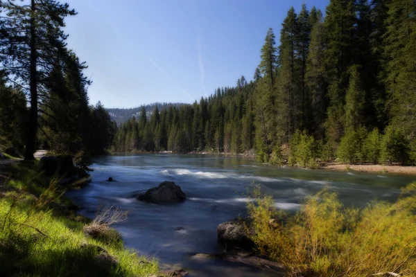 Belle Vue Sur Rivière Dans Forêt — Photo