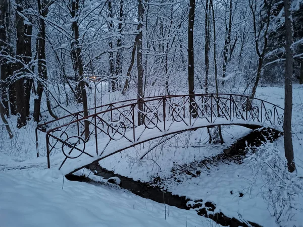 Winterlandschaft Mit Schneebedeckten Bäumen — Stockfoto