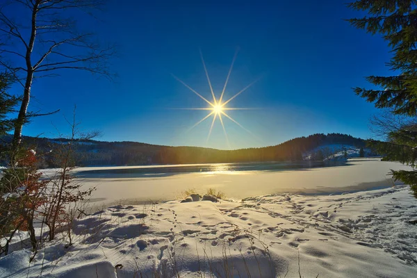 Beau Paysage Hivernal Avec Des Arbres Enneigés — Photo