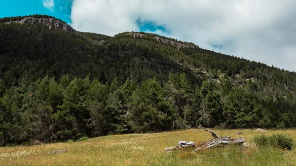 Wunderschöne Landschaft Mit Einem Berg Den Bergen — Stockfoto